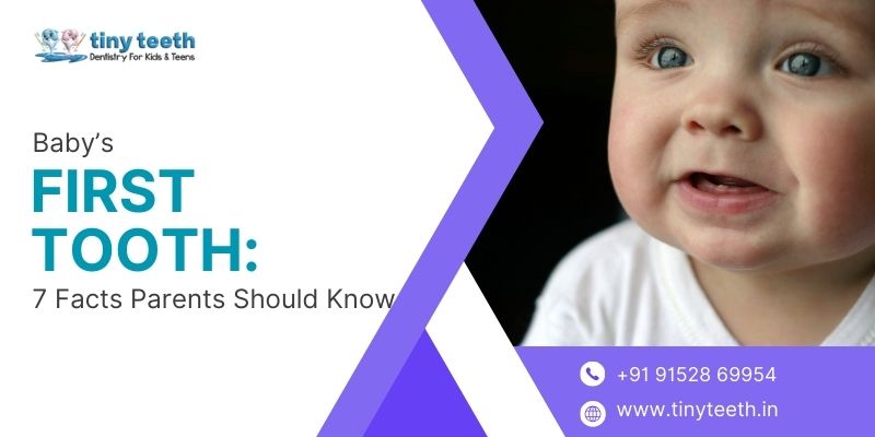 Babys First Tooth 7 Facts Parents Should Know